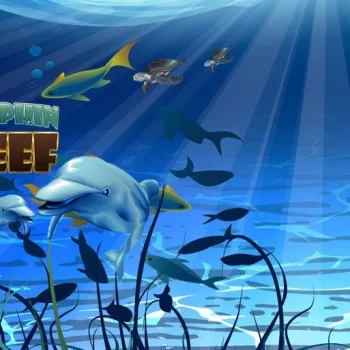 Cara Menang Dolphin Reef