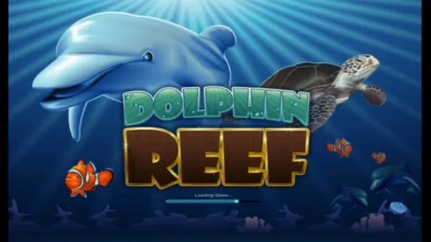 Tips Dolphin Reef