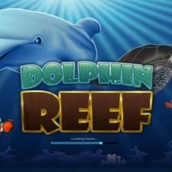 Tips Dolphin Reef